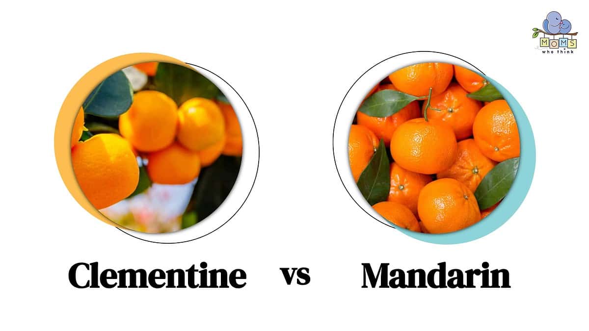 Clementine vs. Mandarin: The Other How & Oranges Compare They Differences Key to