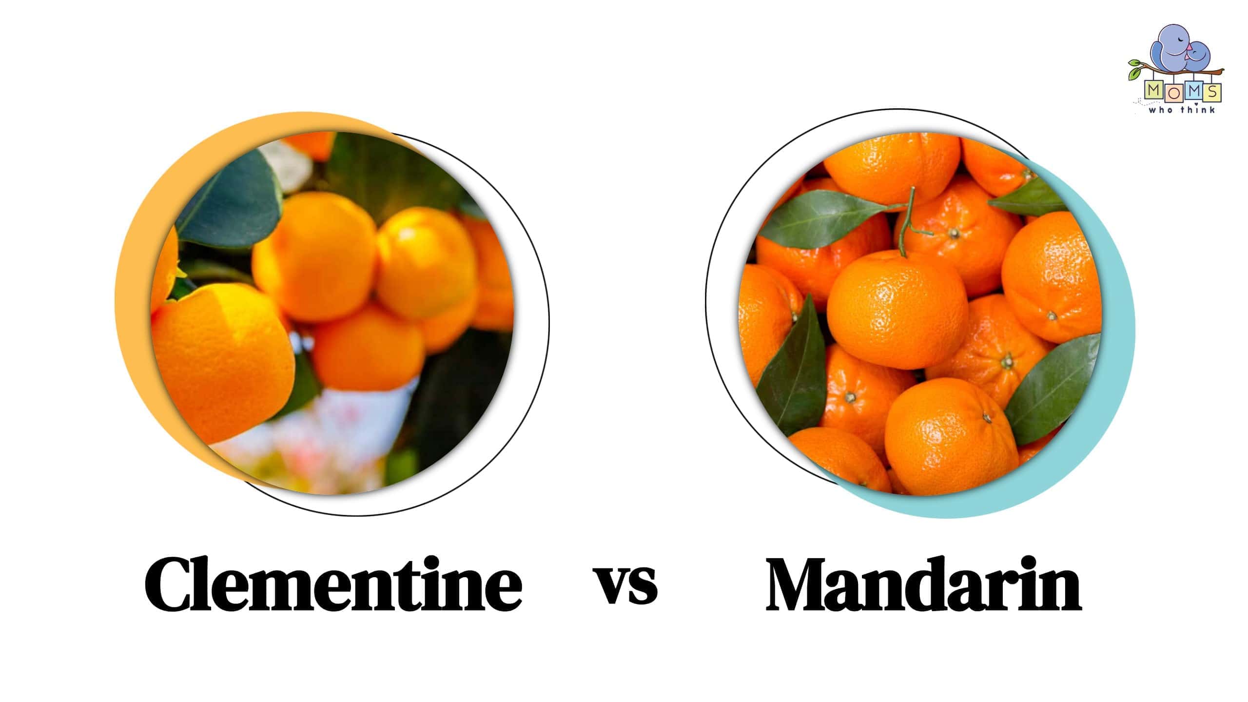 Tangerine vs. Clementine: What's the Difference?