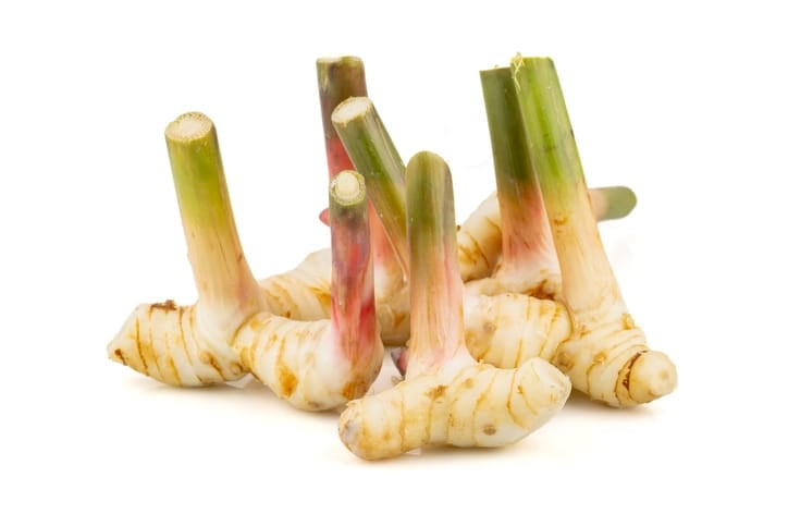 Fresh galangal stems isolated on white background with clipping path