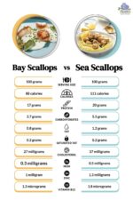 Bay Scallops vs. Sea Scallops: 4 Key Differences Including Taste & Texture