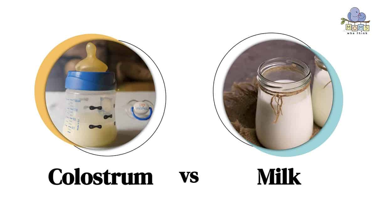Colostrum vs. Milk