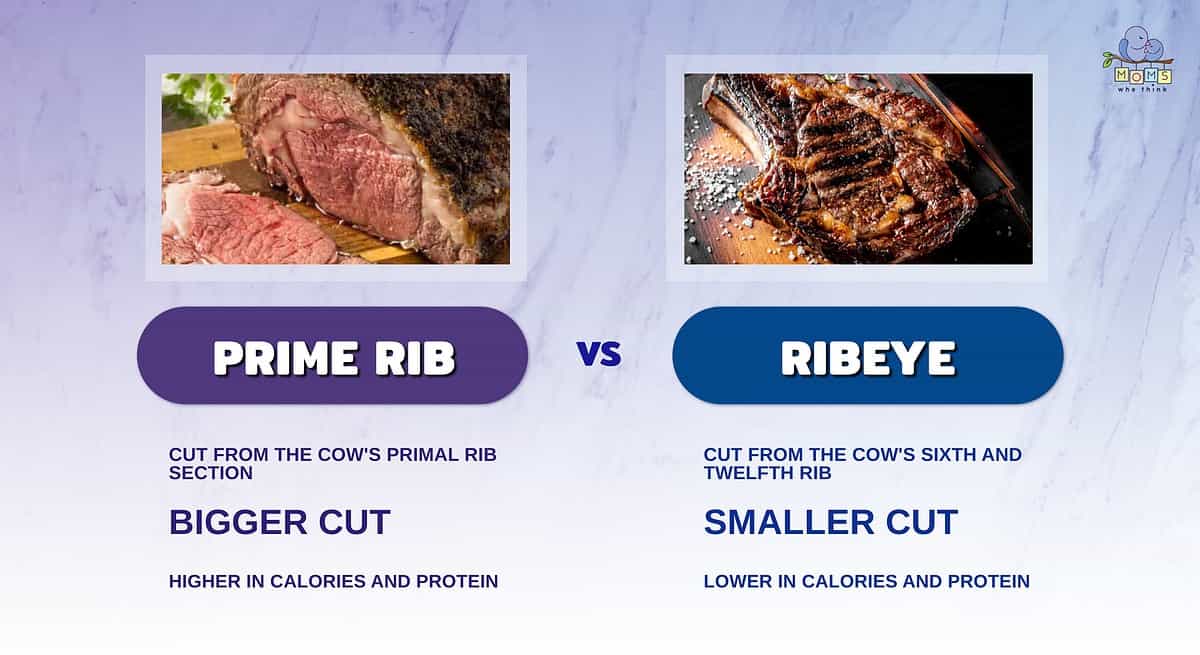 Infographic comparing prime rib and ribeye.