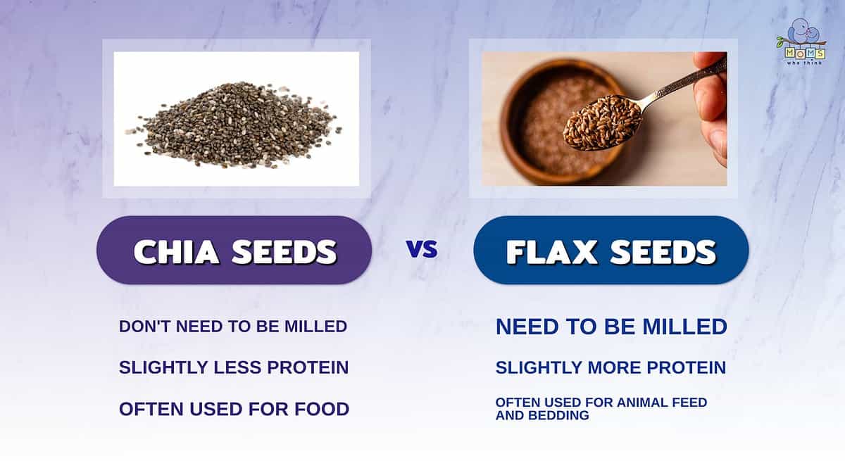 Infographic comparing flax and chia seeds.