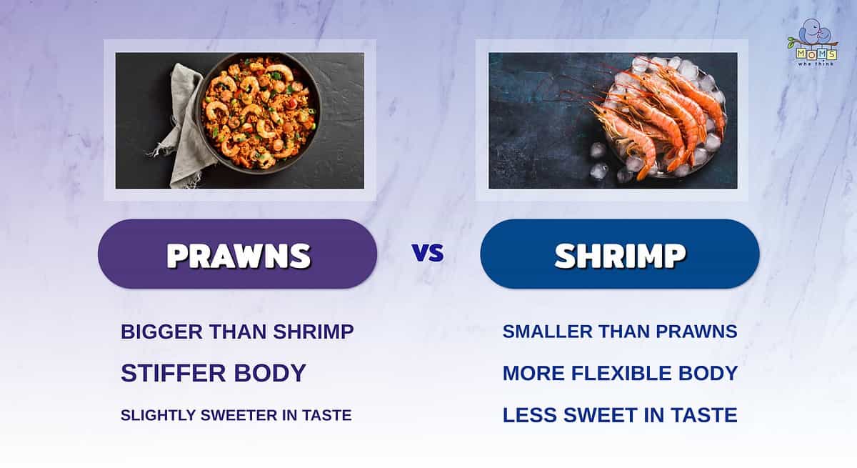 Infographic comparing prawns and shrimp.