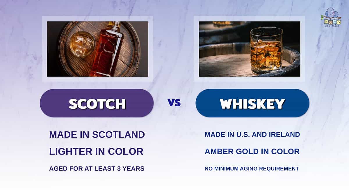 Infographic comparing scotch and whiskey.