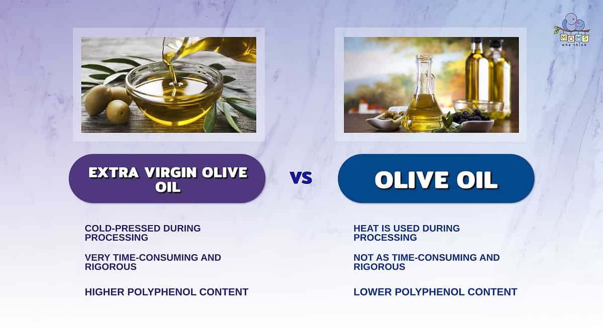 Infographic comparing extra virgin olive oil and olive oil.