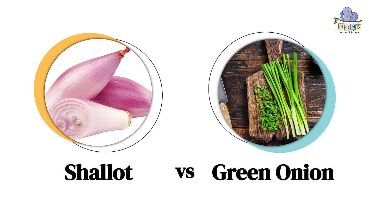 Shallots vs. Green Onions How They're Different & Which is Healthier