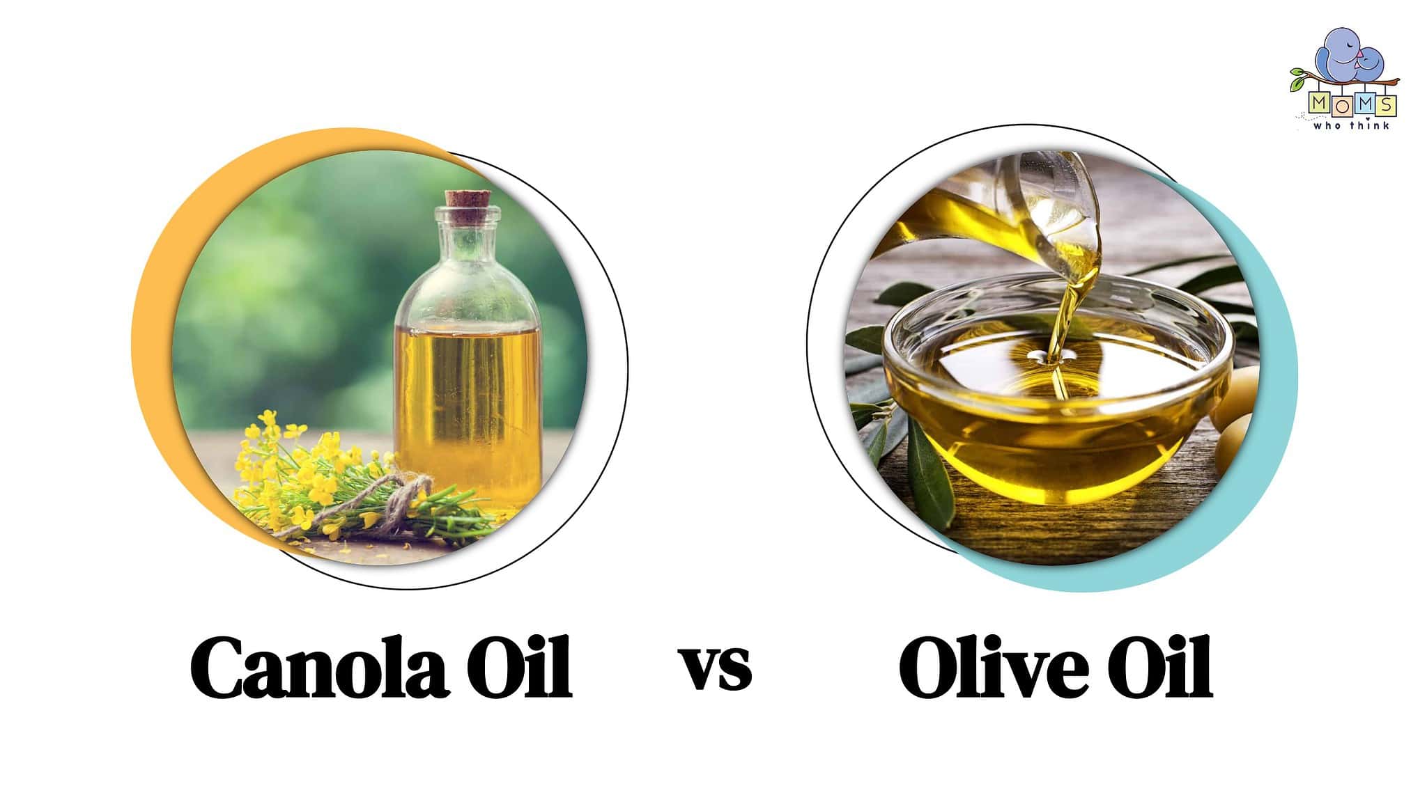 Canola vs. Olive Oil The Good, Bad & Ugly