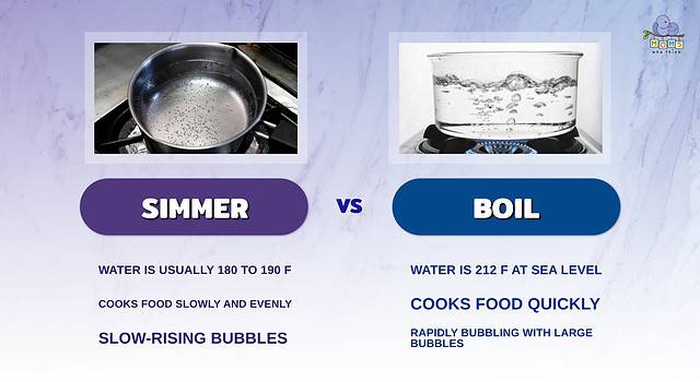 Simmer vs. Boil: How to Tell the Differences (With Temperatures)