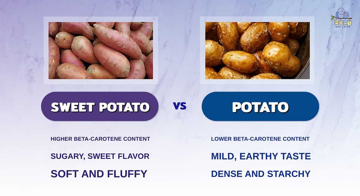 Infographic comparing sweet potatoes and regular potatoes.