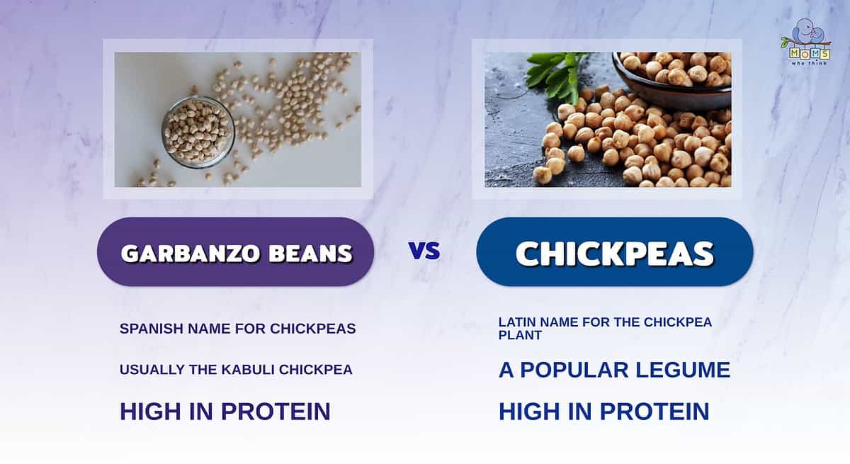 Comparison of Garbanzo Beans and Chickpeas showing they are two different words for the same food.