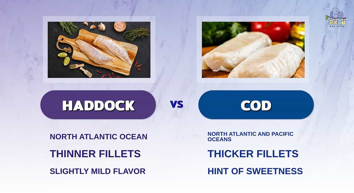 Infographic comparing haddock and cod.
