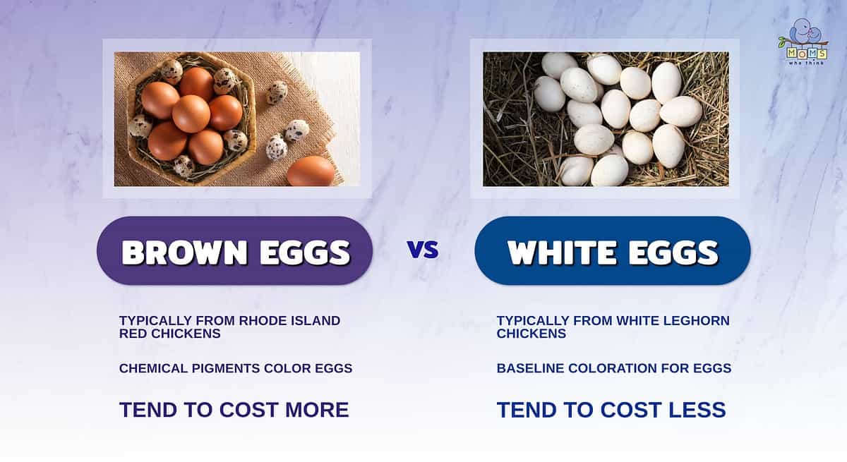 Infographic comparing brown eggs and white eggs.