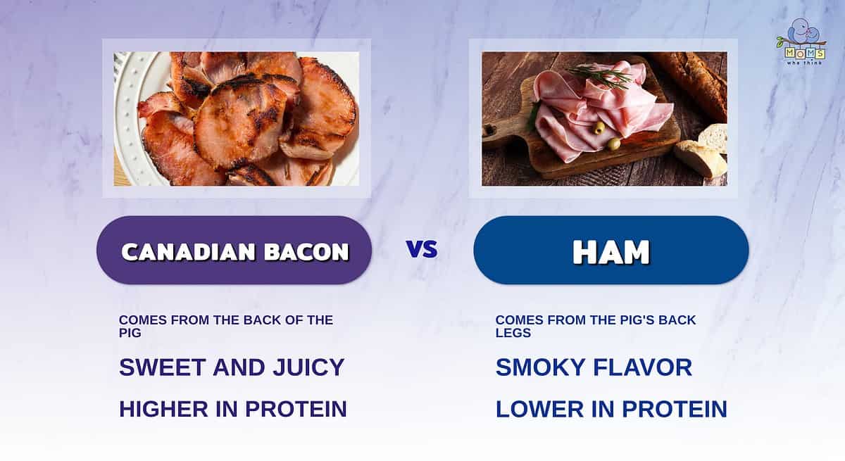 Infographic comparing Canadian bacon and ham.