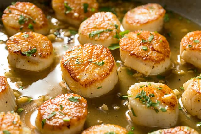 Panned Seared Scallops in Broth Ready to Eat