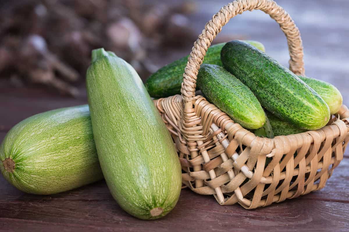 How To Cook Zucchini Perfectly, 4 Ways