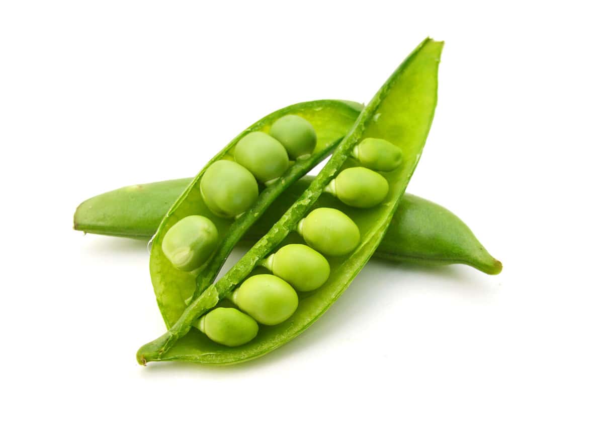 Sugar snap peas isolated on white background