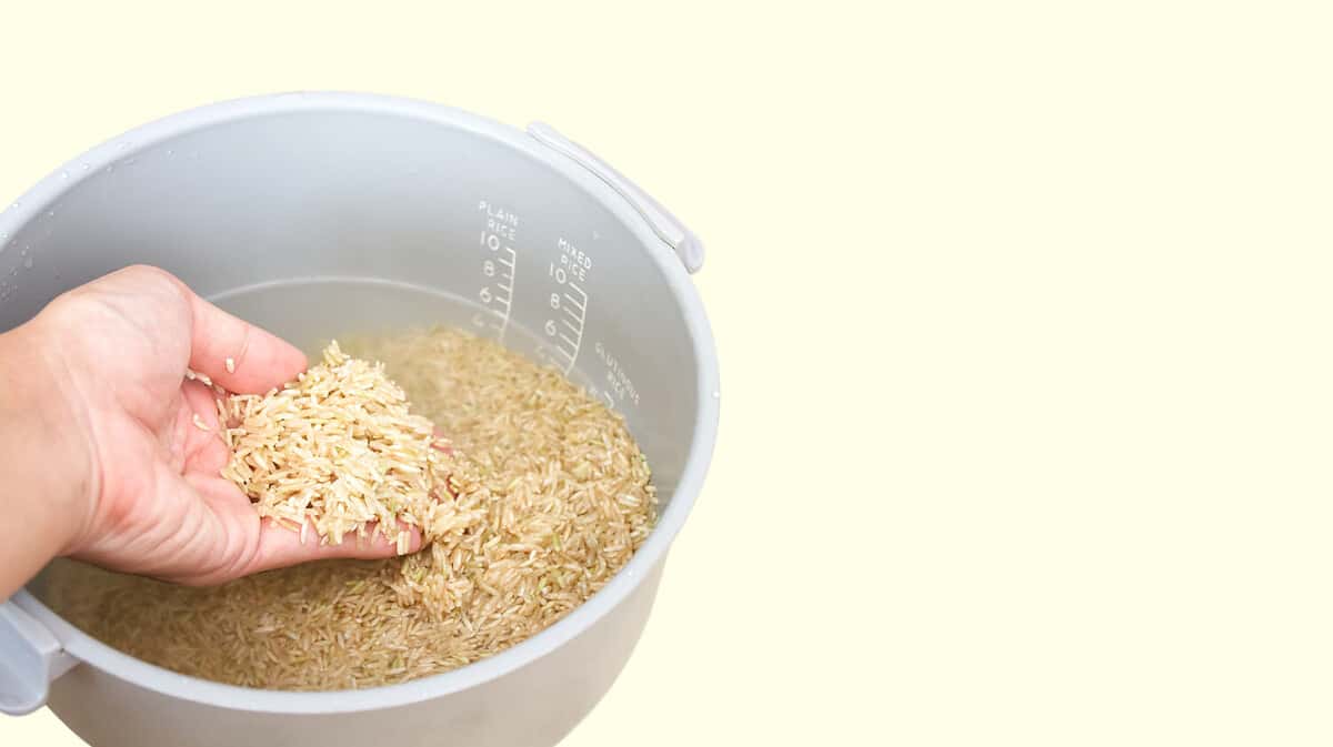 Men hand is washing brown rice or soak for cleaning and preparation cooking, Natural grain dietary fiber for health, Scale to measure water level, Electric cooker isolated background with copy space.