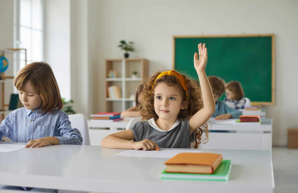 Elementary school student raises her hand, ready to answer the teacher's questions in class. Smart little curly girl is sitting at a desk next to her classmate in the classroom. Concept of education.