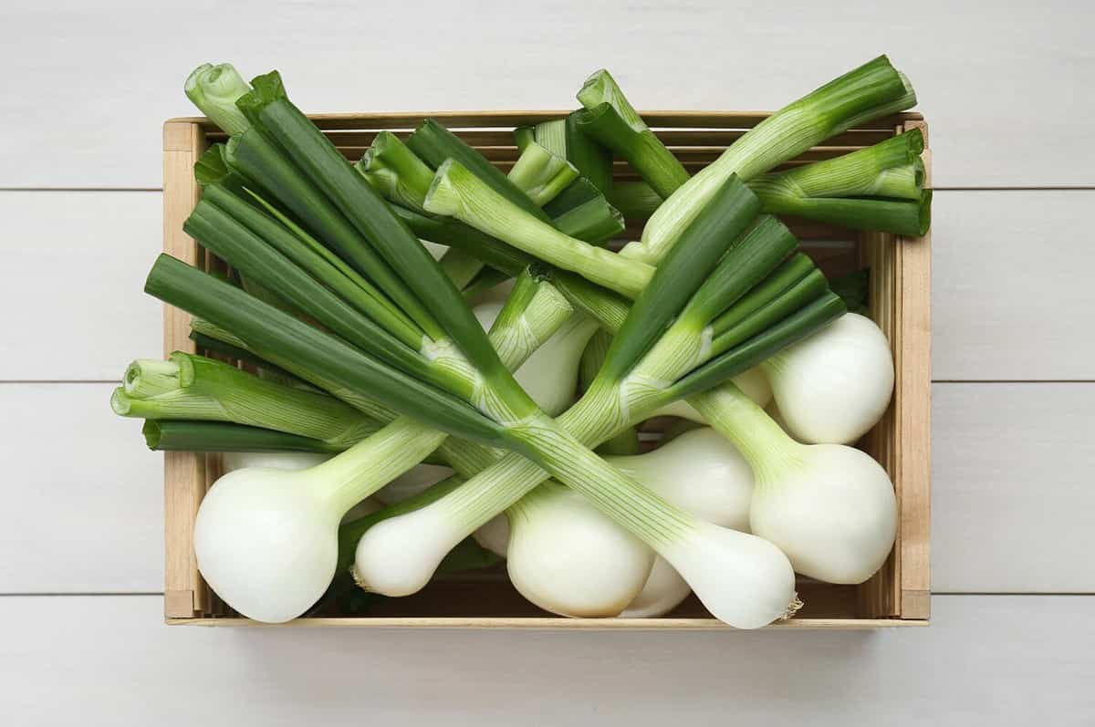 Spring Onion vs. Green Onion 3 Differences Including Taste & When to