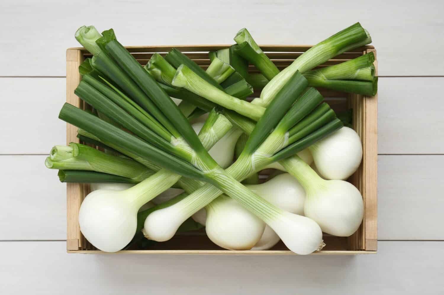 Crate with green spring onions on white wooden table, top view