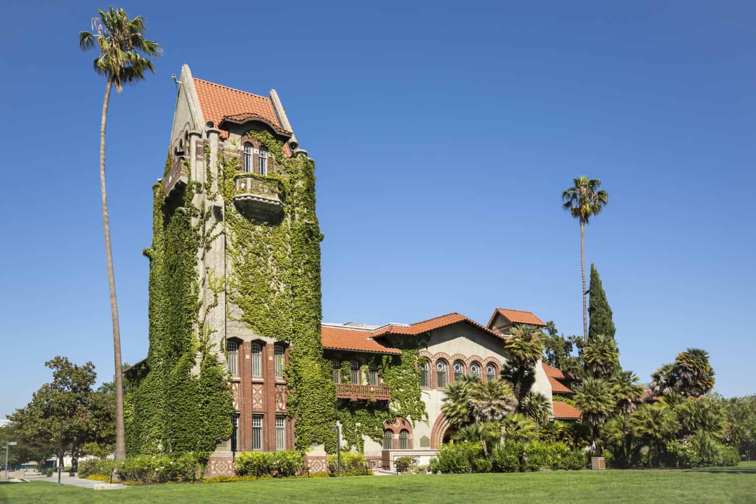 San Jose State University