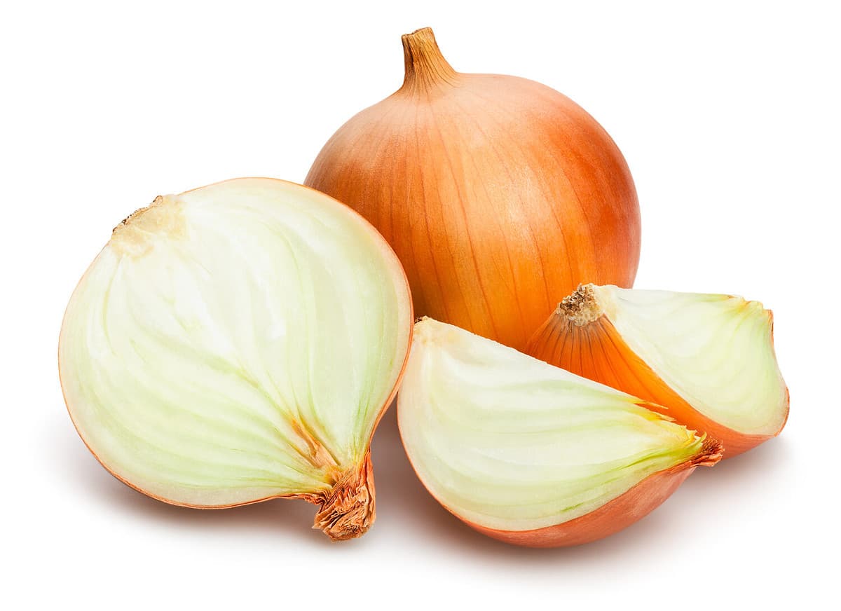 onions isolated