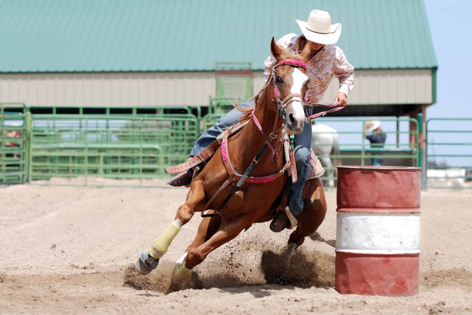 Cowgirl racing her horse between poles during a rodeo.