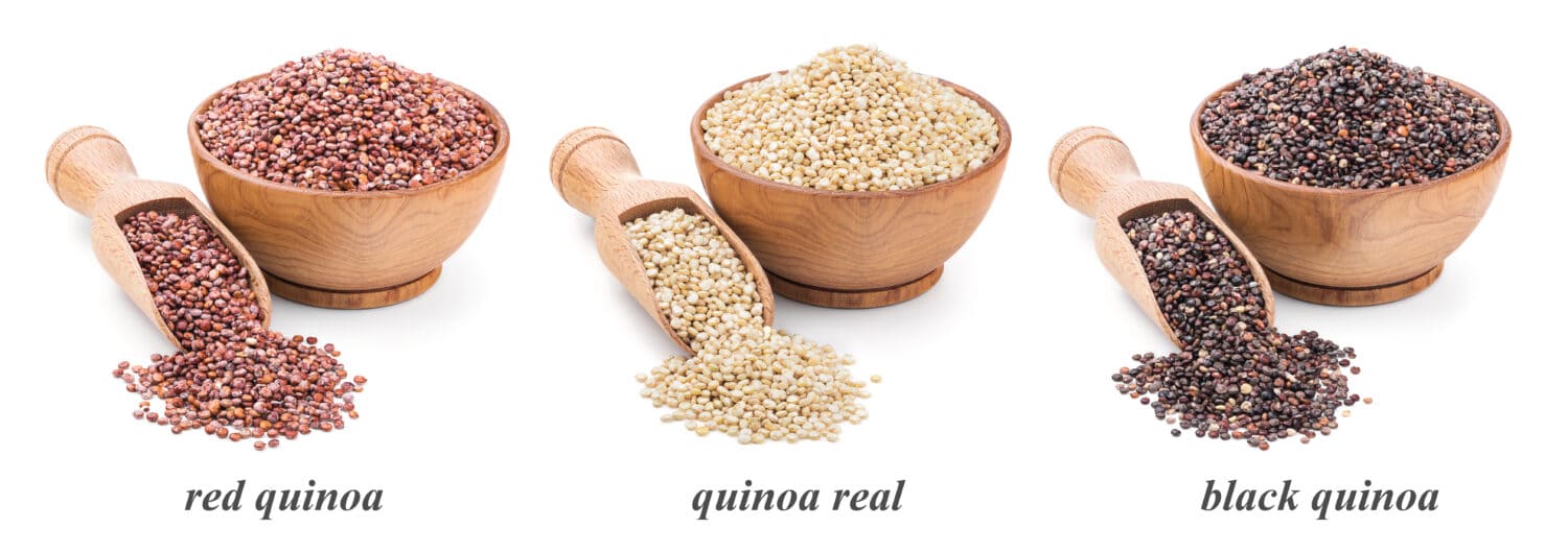 quinoa collection isolated on white background