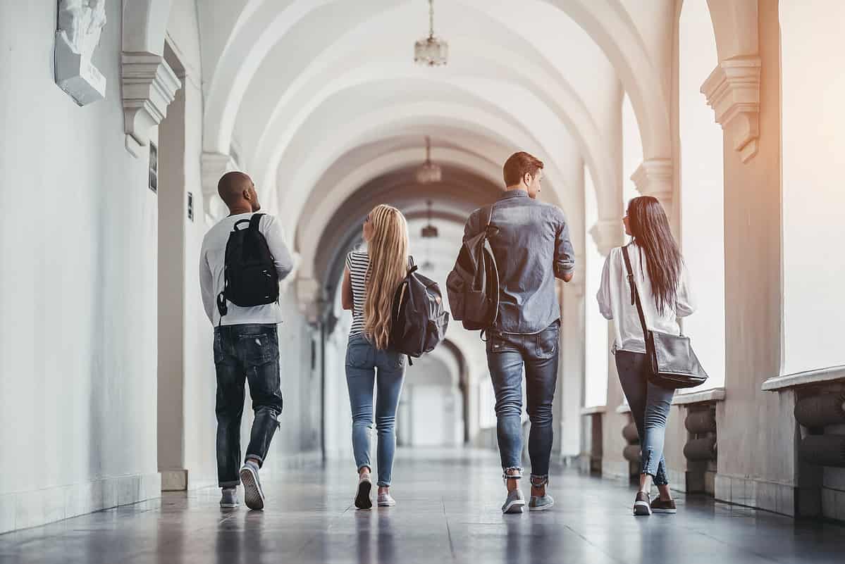 Multiracial students are walking in university hall during break and communicating.