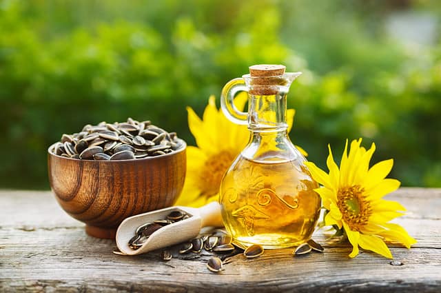 Organic sunflower oil in a small glass jar with sunflower seeds and fresh flowers. Outdoors