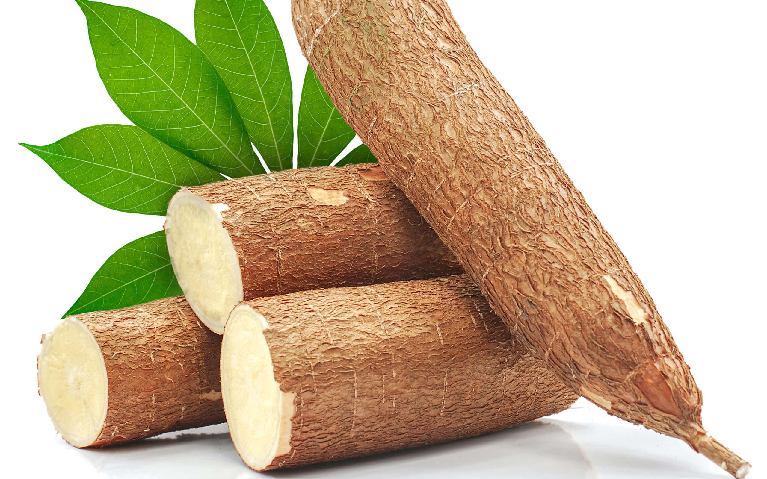 Cassava root isolated on white background