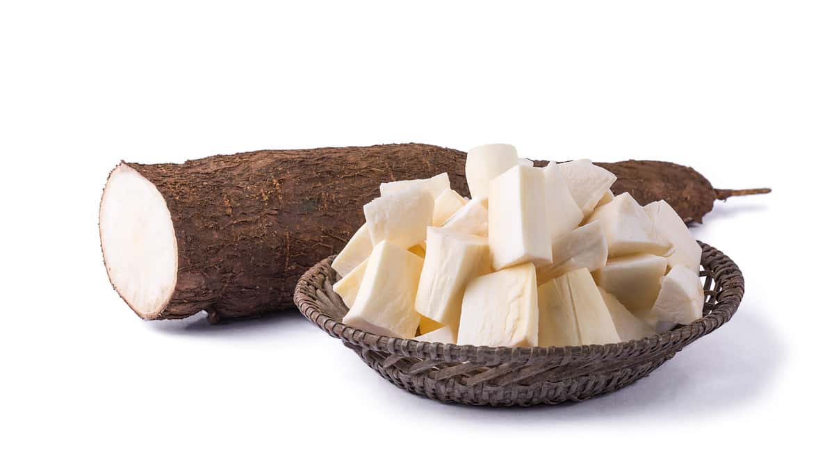 cassava or manihot, also known as manioc, yuca or brazillian arrowroot, root vegetable cut into pieces ready for cooking with a half cut root, on white background