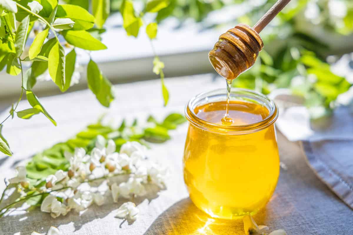 Sweet honey jar surrounded spring acacia blossoms. Honey flows from a spoon in a jar. Sunny light, shallow depth of the field.