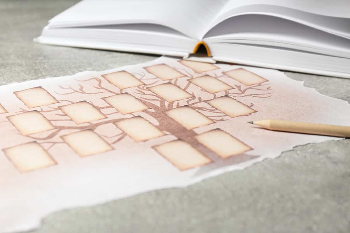 Blank family tree, notebook and pencil on grey table, closeup