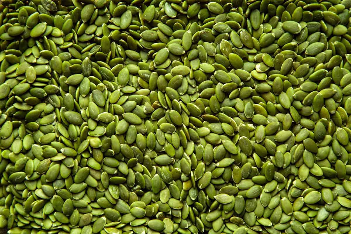 A closeup image of fresh healthy green pumpkin pepita seeds.