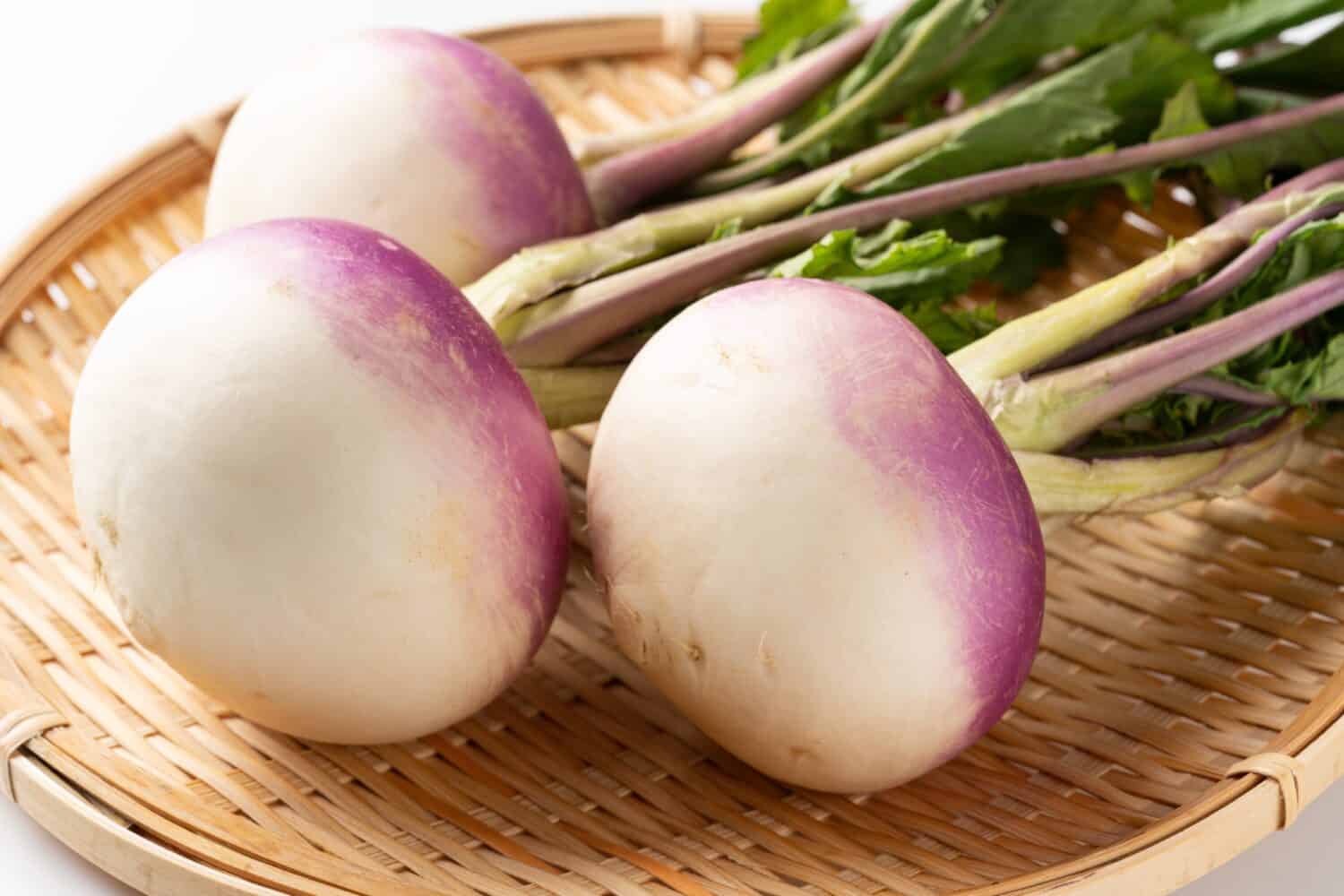 Delicious fresh turnips.Turnip is one of the typical root vegetables eaten all over the world.