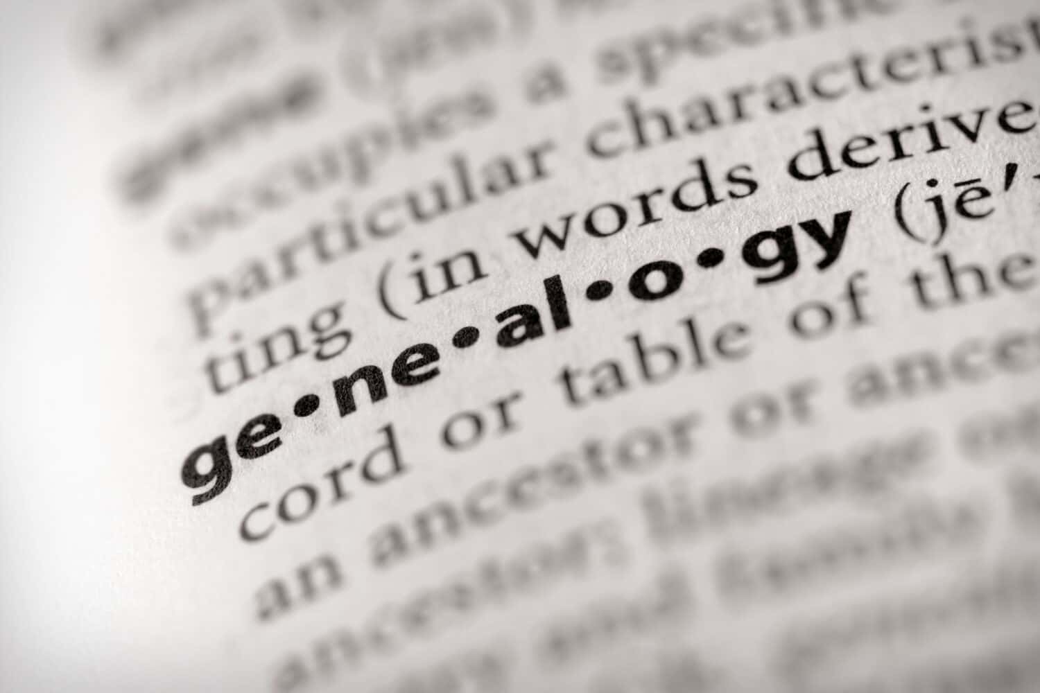 Selective focus on the word "genealogy".