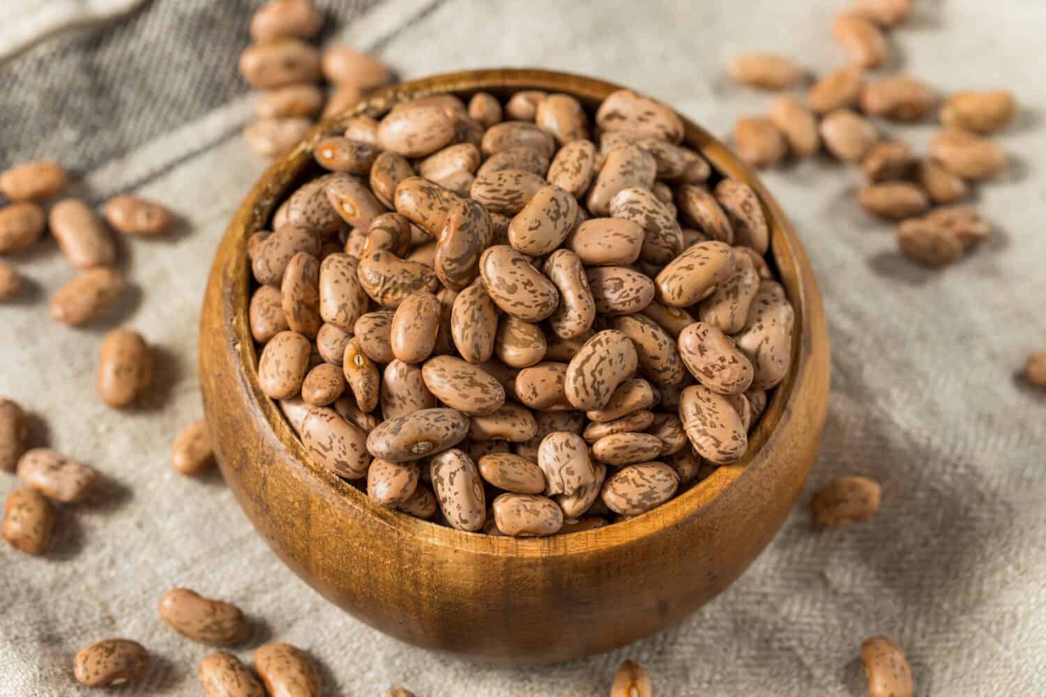 Dry Organic Raw Pinto Beans in a Bowl