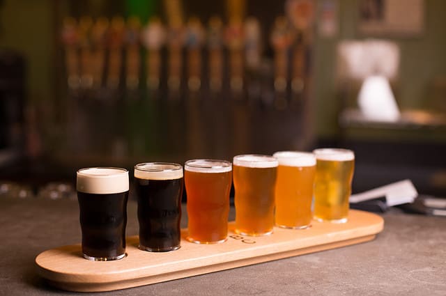 Close up of craft beer tasting flight at local brewery of small pint glasses in a row on a tray with rainbow variety of dark malt stouts to golden yellow hoppy ales on bar, with taps in background