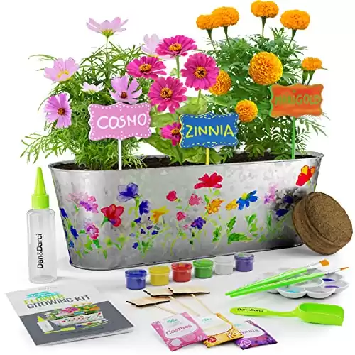 Paint & Plant Flower Growing Kit for Kids