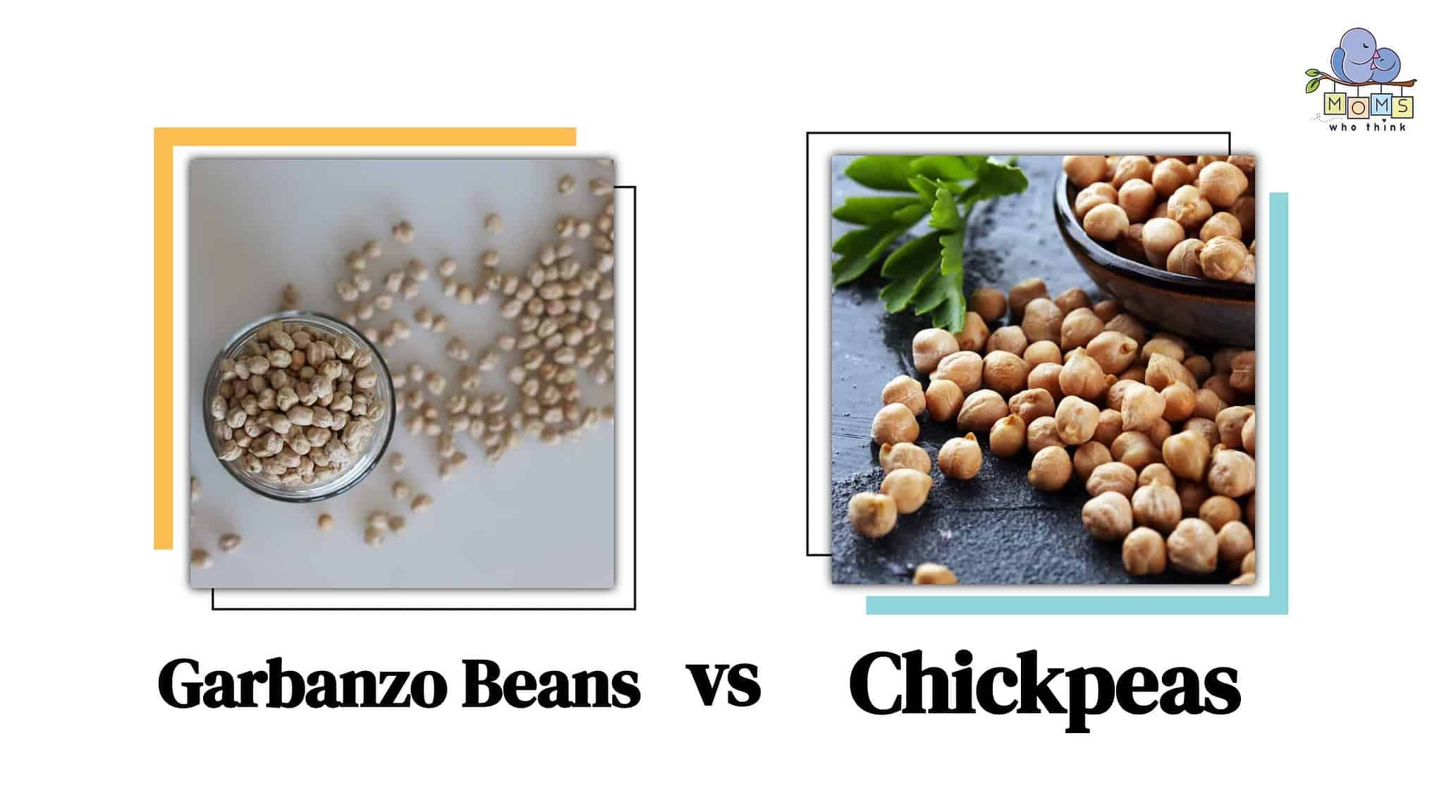 Garbanzo Beans vs. Chickpeas Which is Healthier & Full Comparison