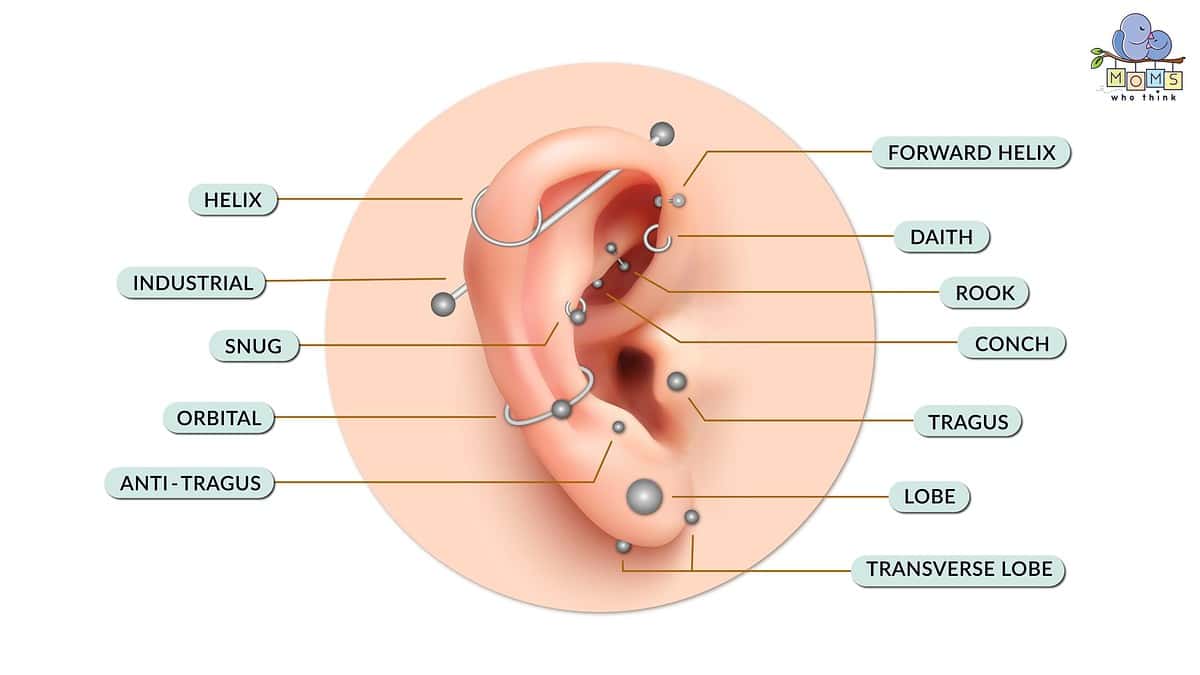 ear piercing chart