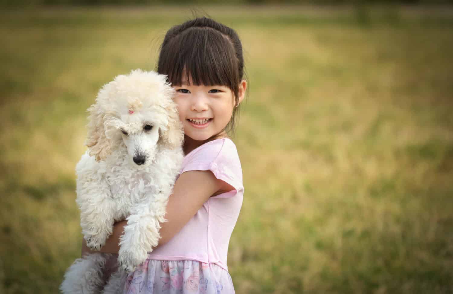 Are Toy Poodles Good Family Pets?