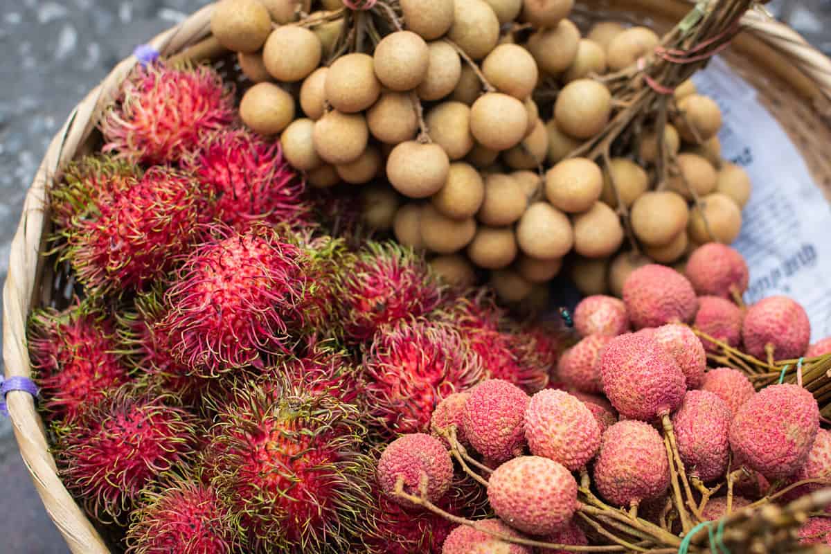 Basket with fresh exotic fruits of rambutan, lychee and longan on Asian market