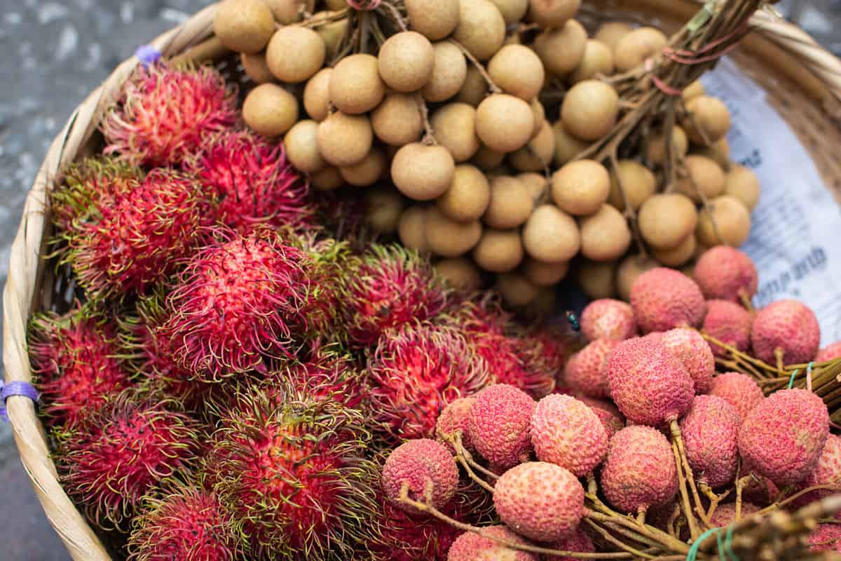 Basket with fresh exotic fruits of rambutan, lychee and longan on Asian market