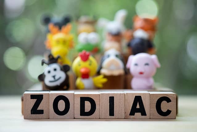 Wood word of ZODIAC with Chinese zodiac rubber toys animal on a blur background