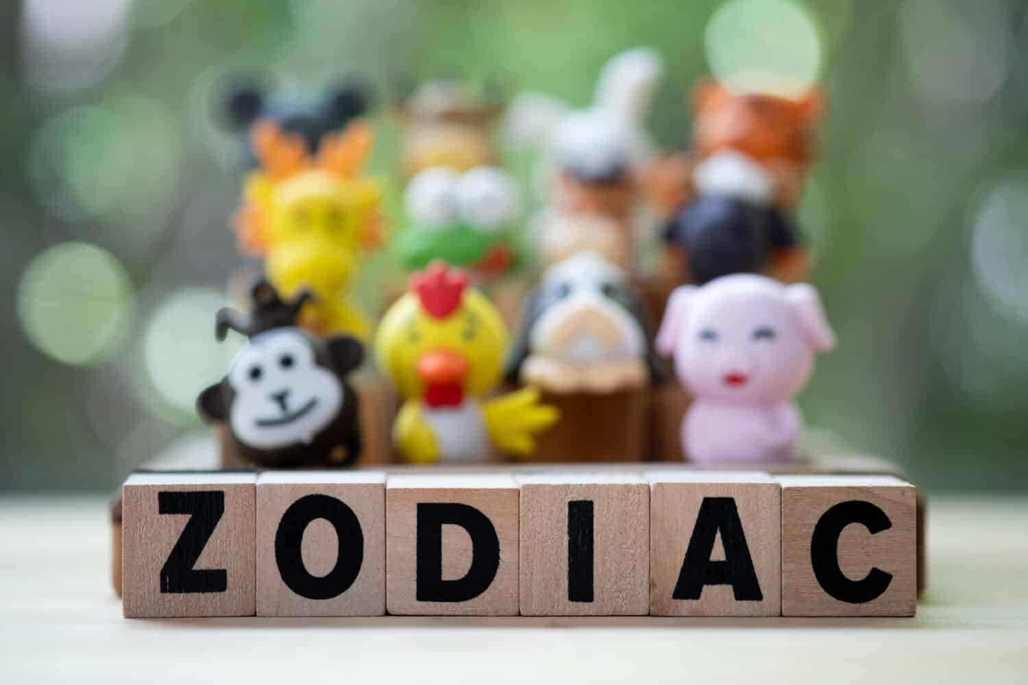 Wood word of ZODIAC with Chinese zodiac rubber toys animal on a blur background