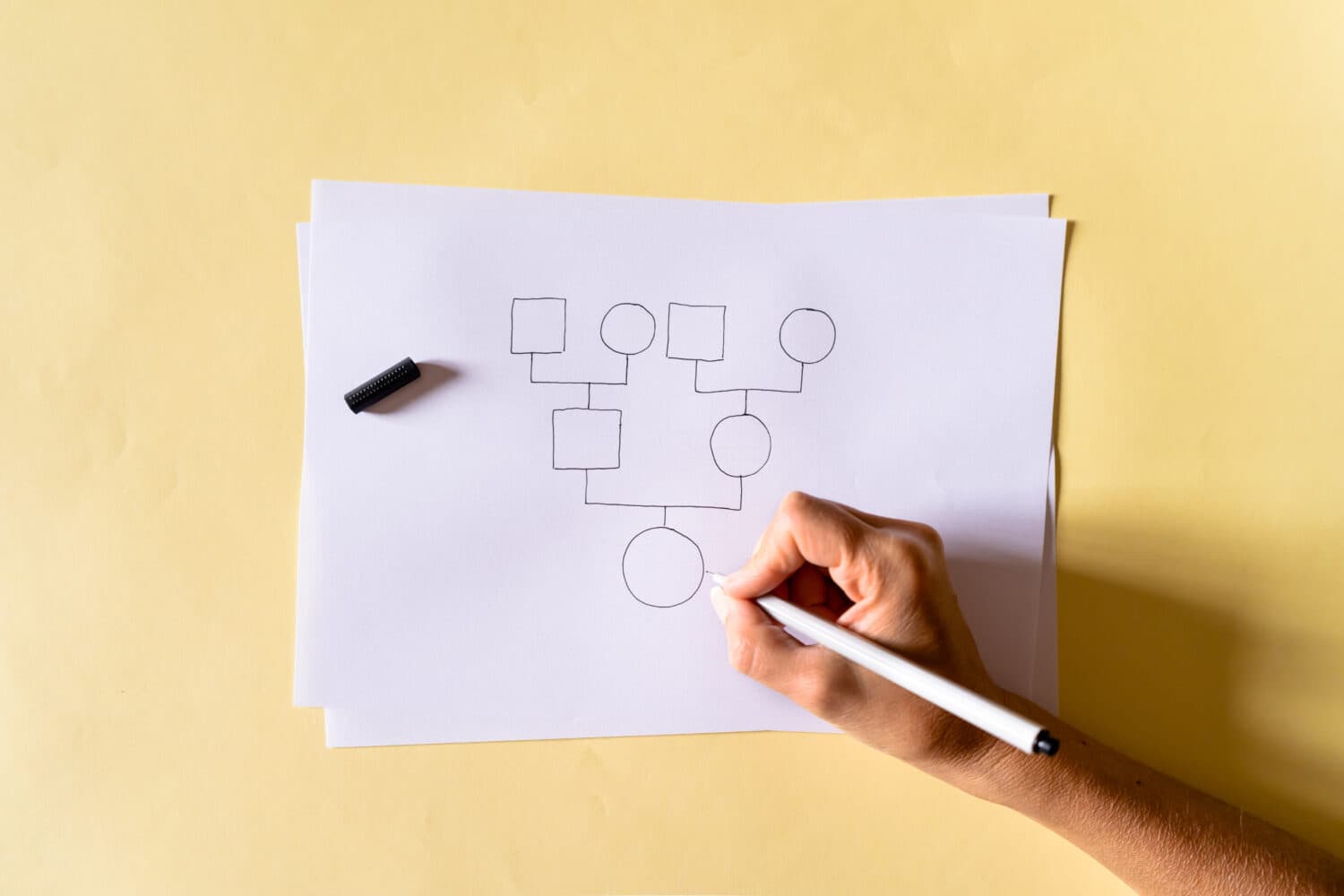 Top view of Hand drawing a family tree on a sheet of paper