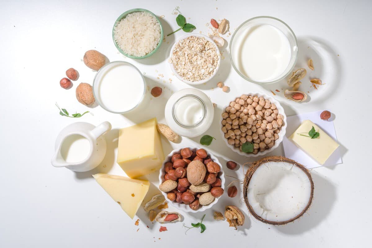 Vegan non-dairy products. Plant-based alternative dairy products – milk, cream, butter, yogurt, cheese, with ingredients - chickpeas, oatmeal, rice, coconut, nuts